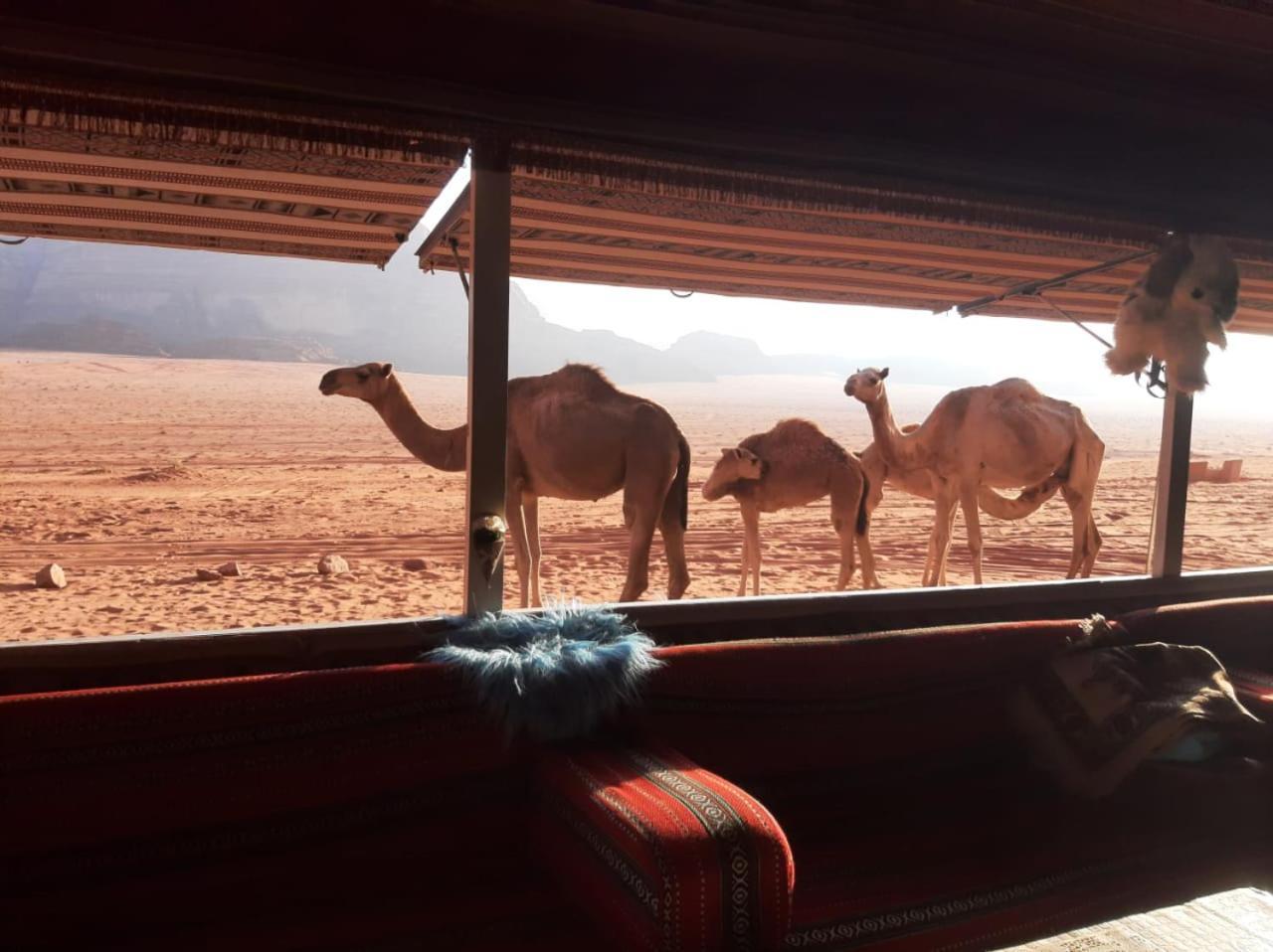 Omar Ghazi Camp Hotel Wadi Rum Exterior photo